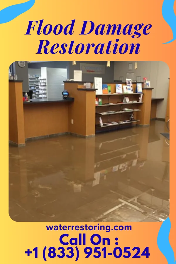 Flood Damage Restoration in Ellenville, NY