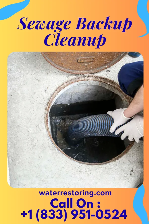 Sewage Backup Cleanup in Ellenville, NY