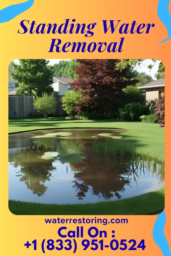 Standing Water Removal in Ellenville, NY